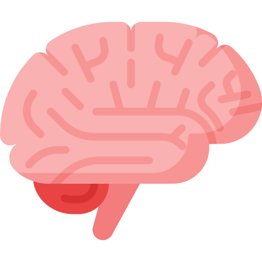 Neurology Icon